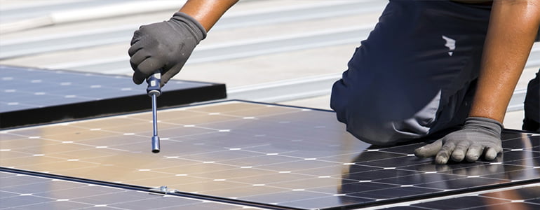 Why Do Business Leaders Love Renewables?