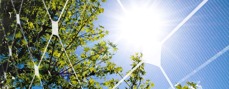 solar panels in the sun
