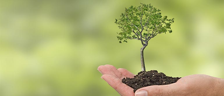 carbon footprint