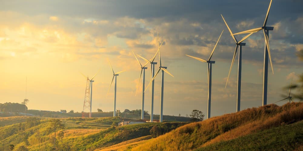 windmills