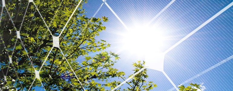 Tree reflecting in solar panel
