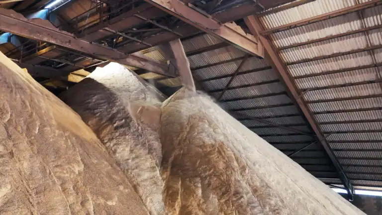 Irish Salt Mines